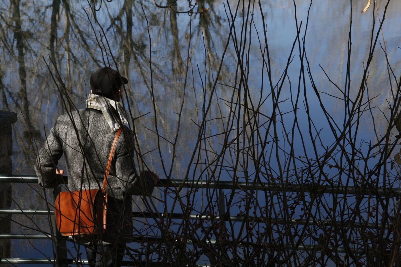 REAR VIEW OF MAN WITH BARE TREES IN WATER