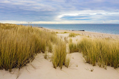 Scenic view of beach against sky