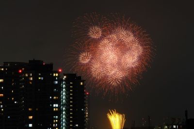 Low angle view of firework display at night