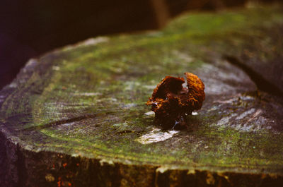 Close up of rocks