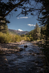 River flowing through rocks