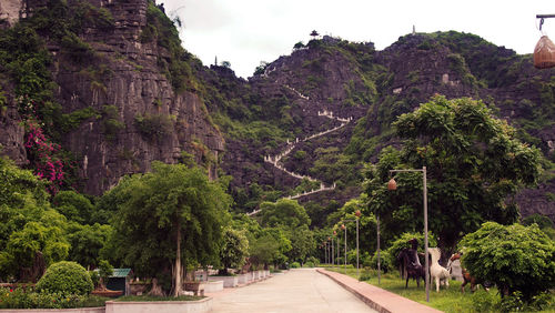 Road amidst trees and mountains against sky