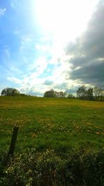 Scenic view of field against sky