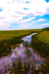 Scenic view of river amidst field against sky