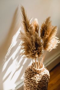 Dried plants in the vase
