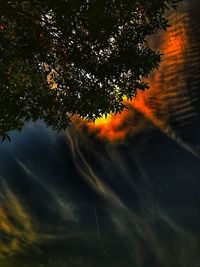 Low angle view of tree against sky at sunset