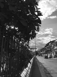 Trees in city against sky