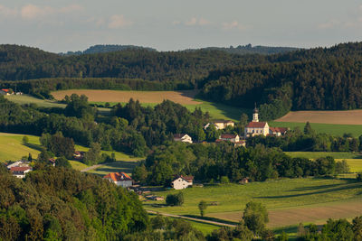 Scenic view of field and trees against sky