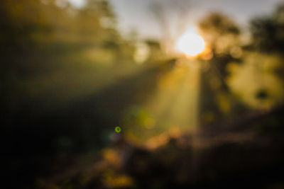 Defocused lights at night