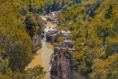 High angle view of autumn trees by river