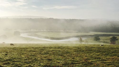 Scenic view of landscape against sky during foggy weather