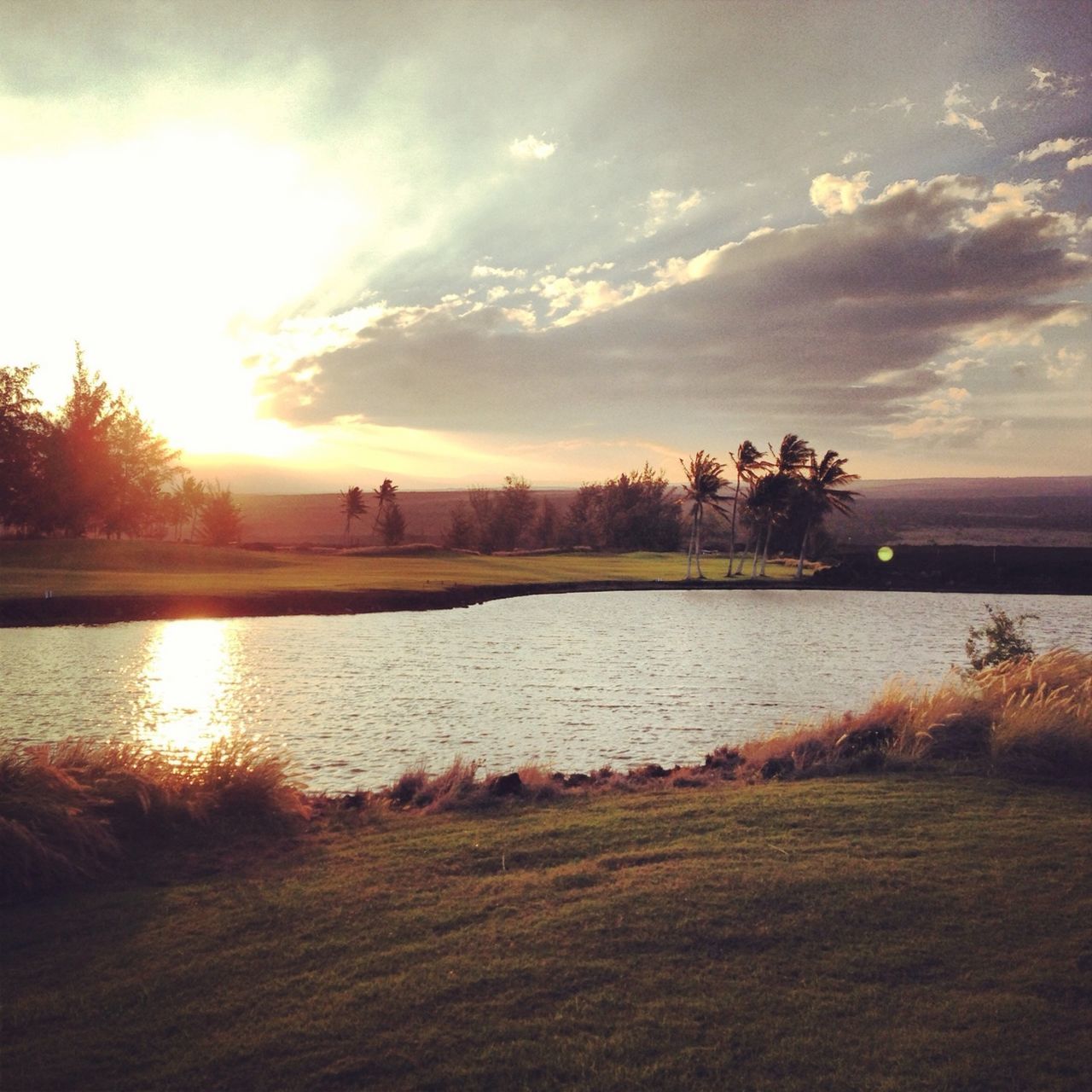 Waikoloa golfin'