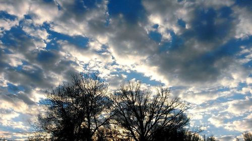 Low angle view of silhouette trees against sky