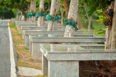 View of sculpture in park