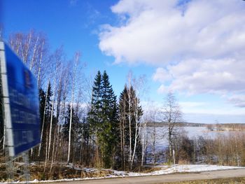 Panoramic shot of trees against sky