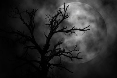 Low angle view of silhouette tree against sky at night
