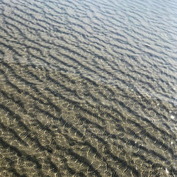 Patterns in beach water