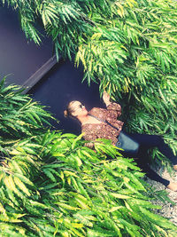 High angle view of woman amidst plants