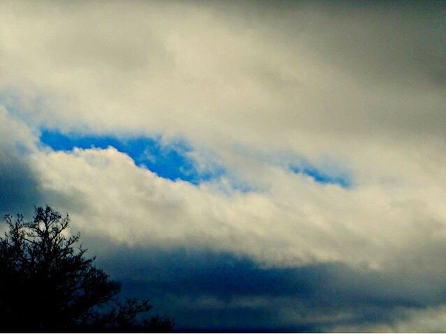 sky, low angle view, cloud - sky, tree, silhouette, tranquility, beauty in nature, cloudy, scenics, tranquil scene, nature, cloud, weather, overcast, cloudscape, idyllic, dusk, high section, outdoors, no people