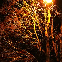 View of illuminated tunnel at night