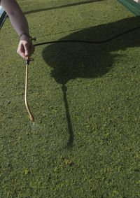 High angle view of hand holding leaf on grass