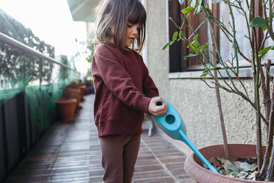 Little child wearing brown top watering roses in pot at home balcony