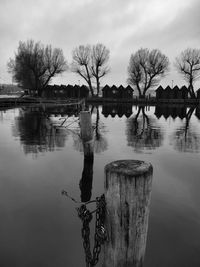 Reflection of bare trees in lake