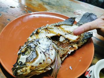 Close-up of hand holding fish