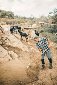 Male goat herder cleaning land with goats in background