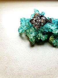 High angle view of leaf on table