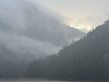 fog