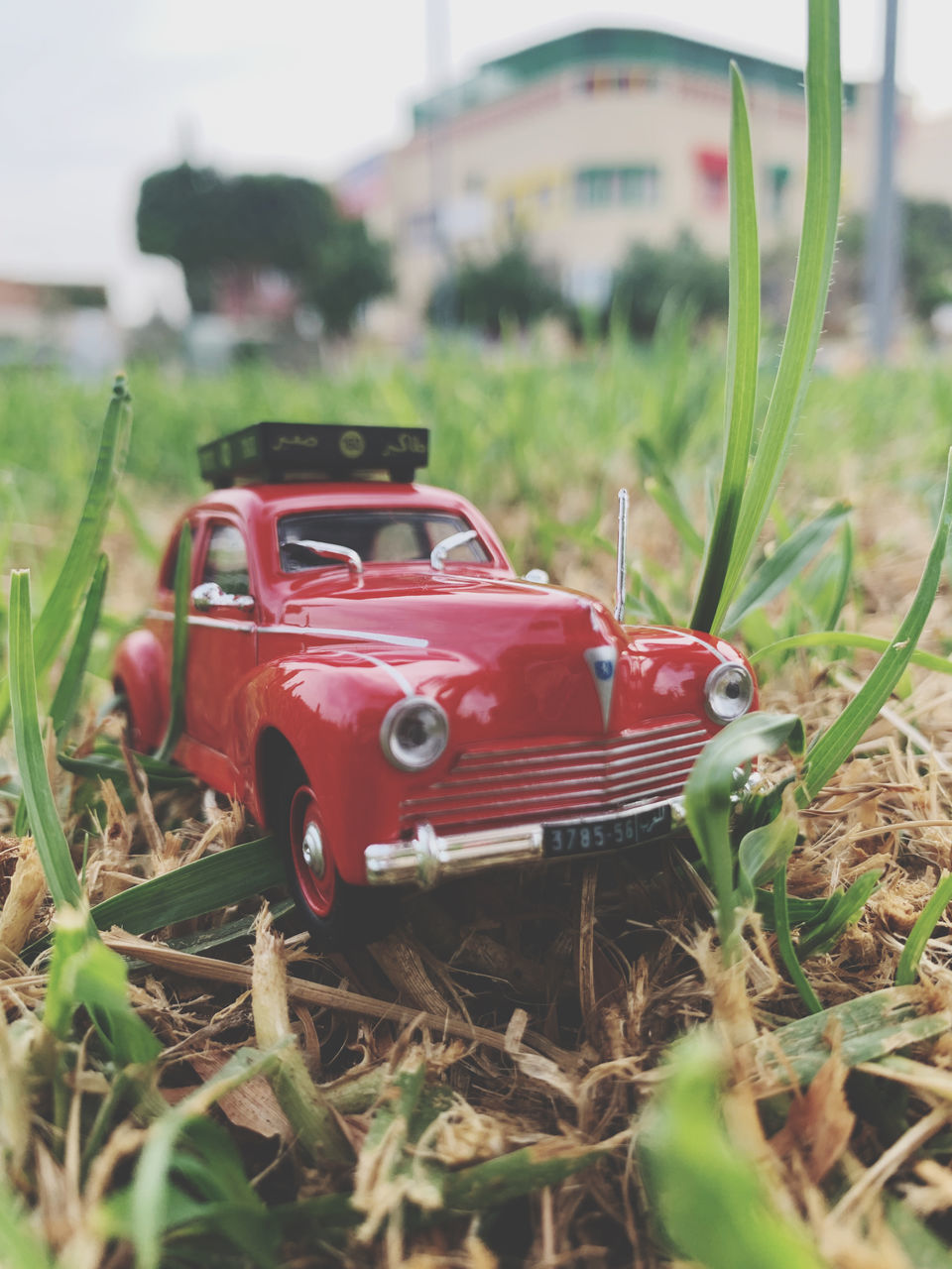 TOY CAR IN FIELD