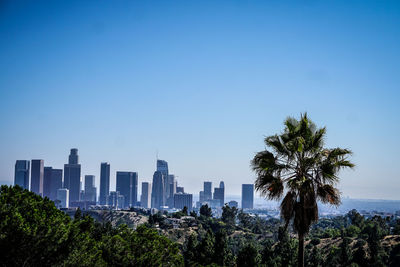 Trees and buildings against clear sky