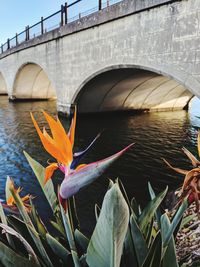 View of bridge over river