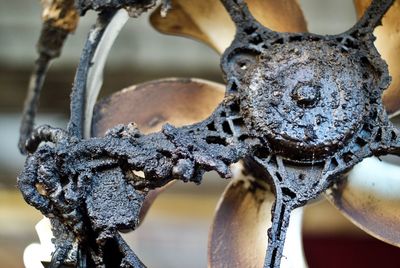 Close-up of rusty fan