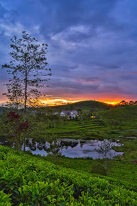 Scenic view of field against sky at sunset