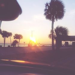 Silhouette of palm trees against sky during sunset