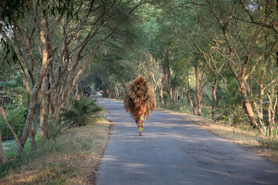 Woman carrying hay bale on road amidst trees