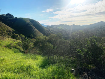 Scenic view of landscape against sky