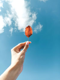 Midsection of person holding umbrella against sky