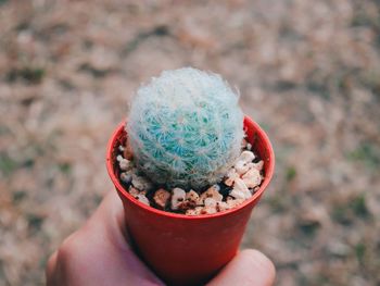 Close-up of hand holding ice cream