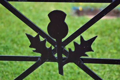 Close-up of metal on grass