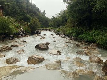Water flowing through rocks in forest