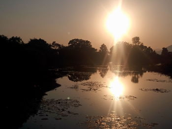 Sun shining through trees