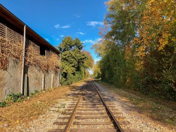 View of railroad tracks along trees