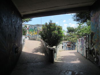 Empty alley amidst buildings in city