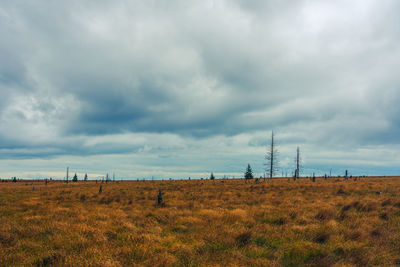 Electricity pylon on field against sky