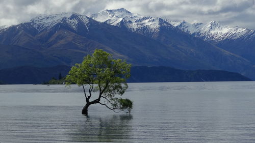 Scenic view of lake and mountains against sky