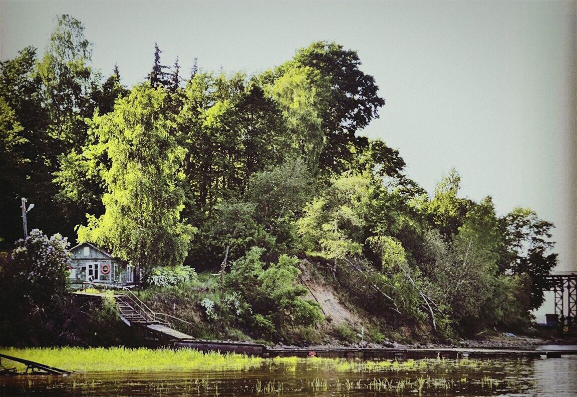 tree, growth, green color, built structure, architecture, clear sky, building exterior, water, nature, tranquility, tranquil scene, plant, lush foliage, beauty in nature, house, green, scenics, day, branch, sky