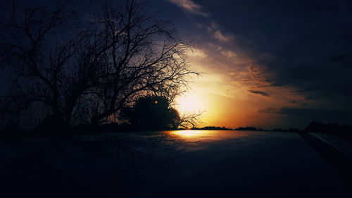 Silhouette bare trees against sky during sunset